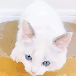 blackpink裸被❌网站ai
